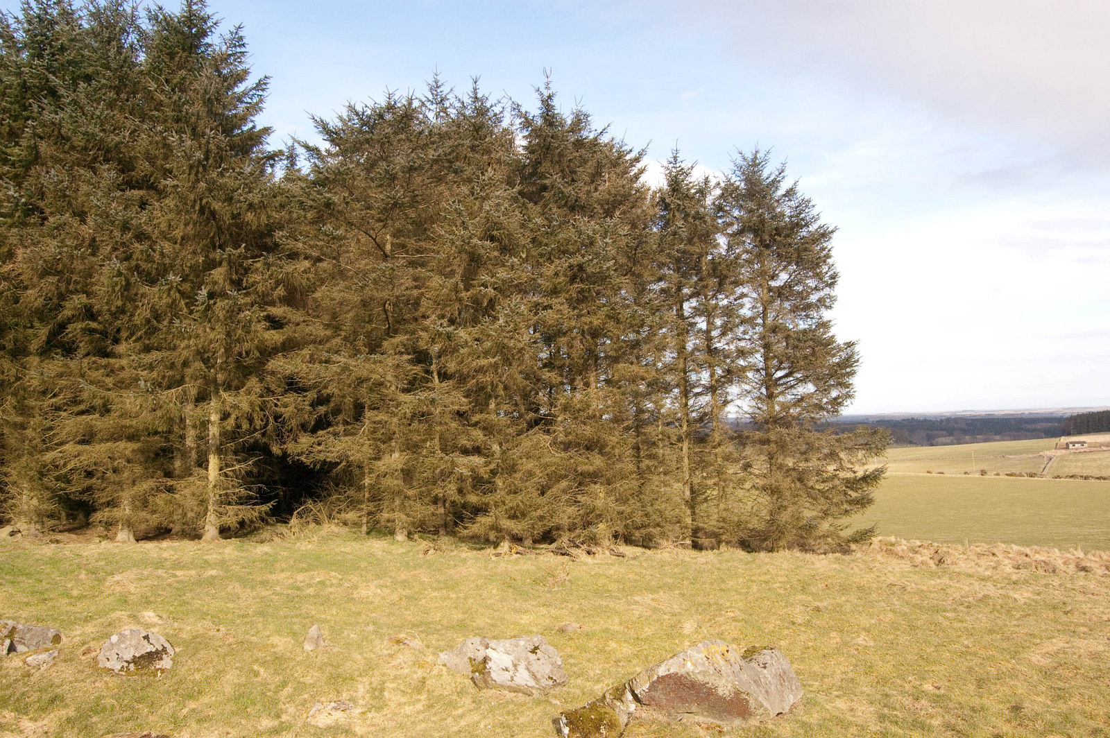 Aikey Brae stone circle — image 2