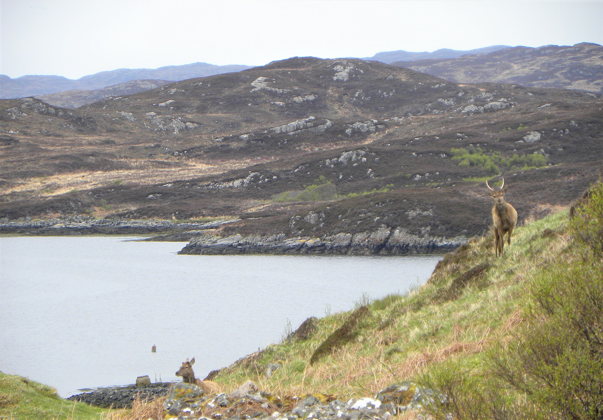 An Dun — image 2