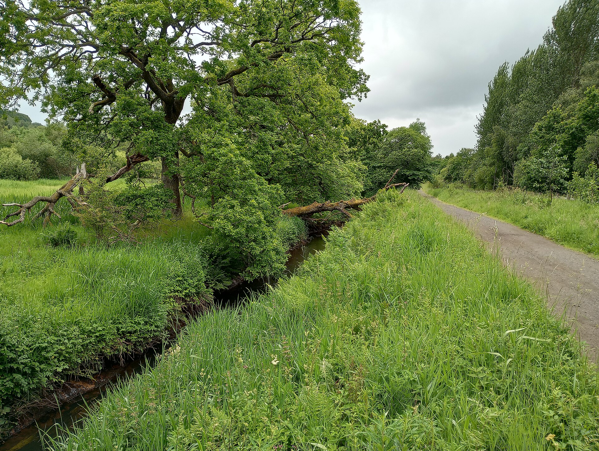 Antonine Wall — image 6
