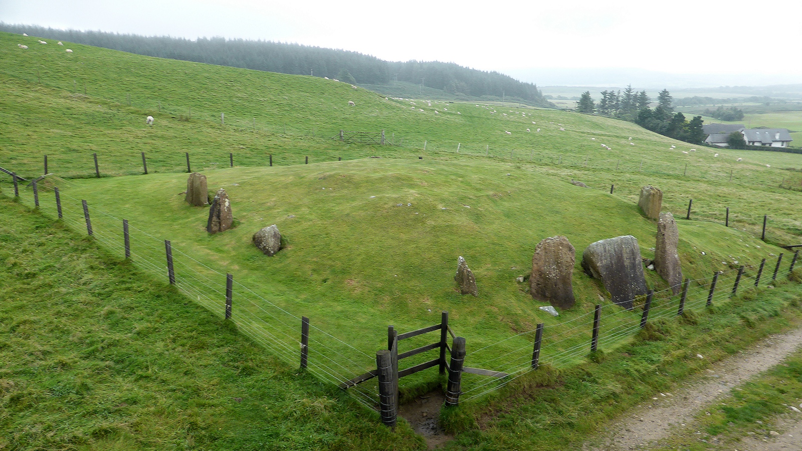 Auchagallon Stone Circle — image 2
