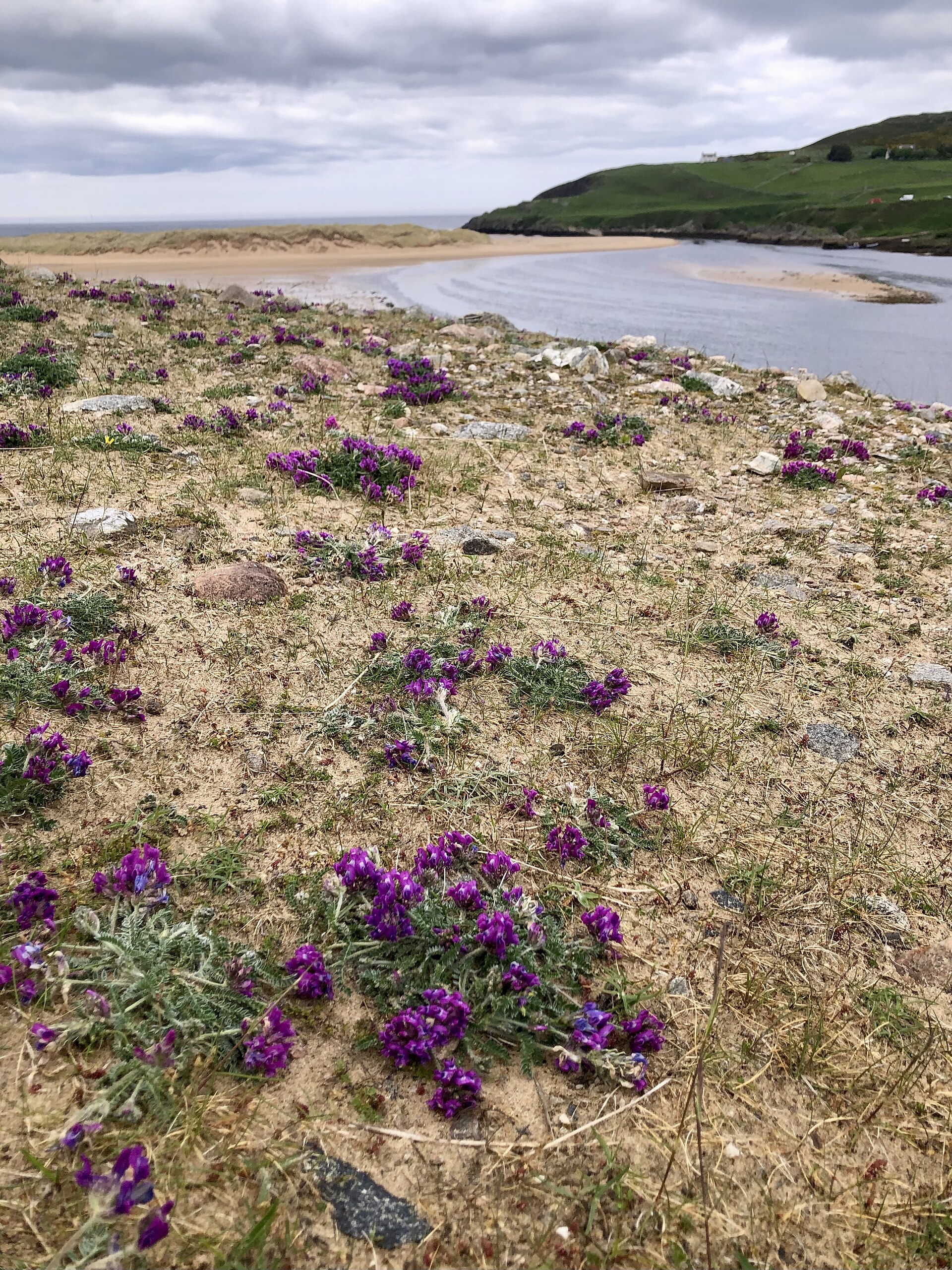 Baile Mhargaite (Sandy Dun) — image 3