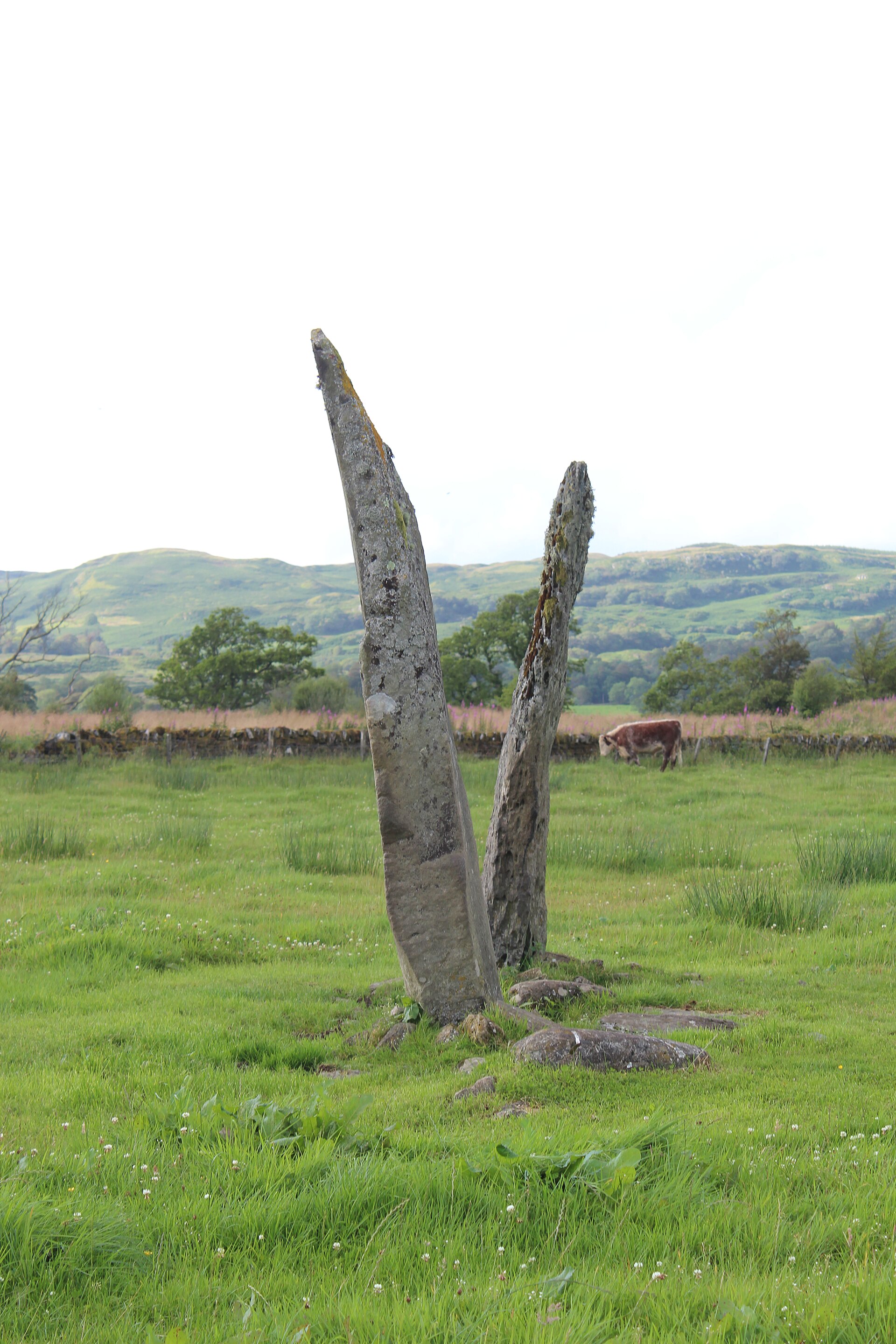 Ballymeanoch Standing Stones and Henge — image 2
