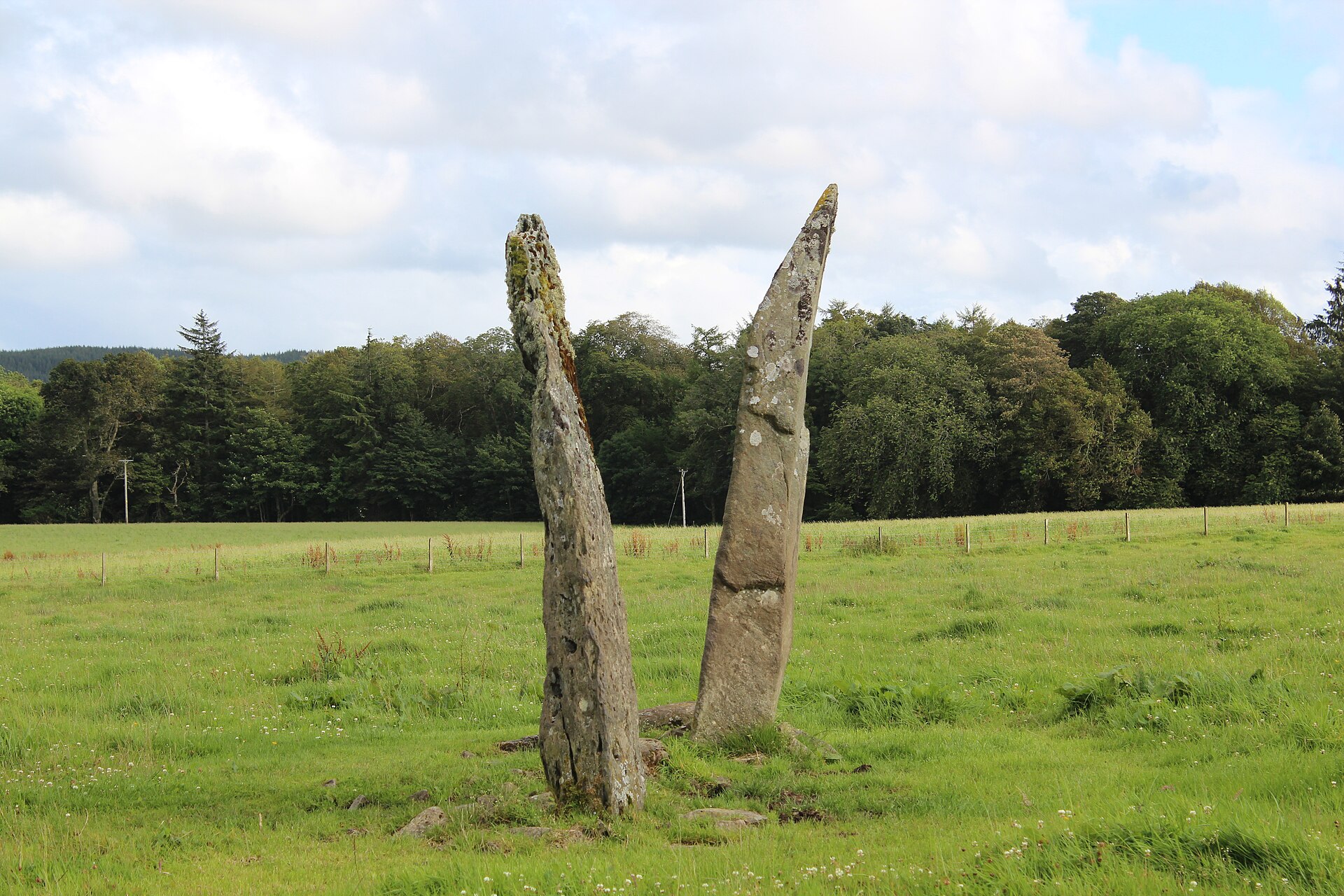 Ballymeanoch Standing Stones and Henge — image 3