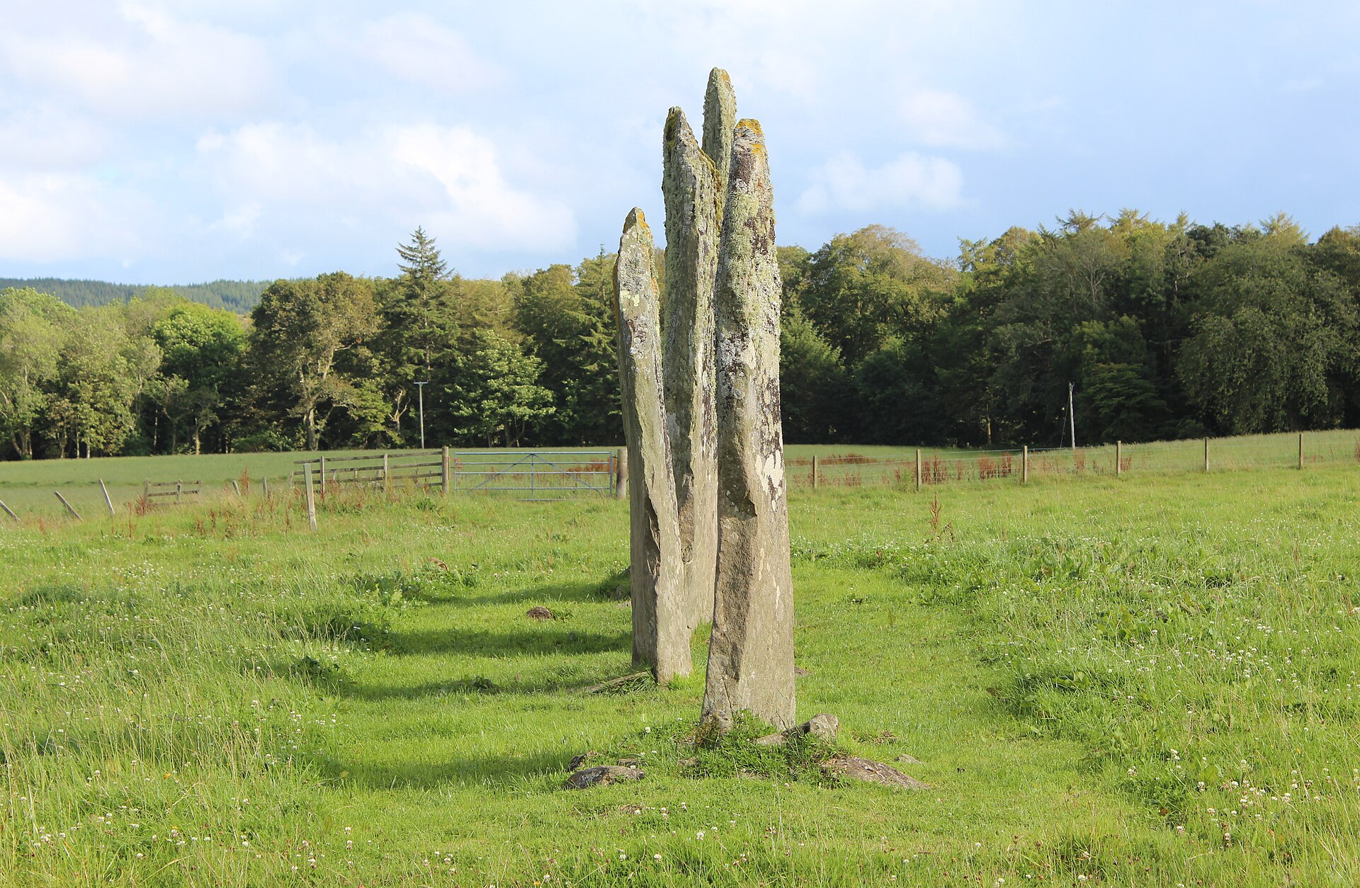 Ballymeanoch Standing Stones and Henge — image 4