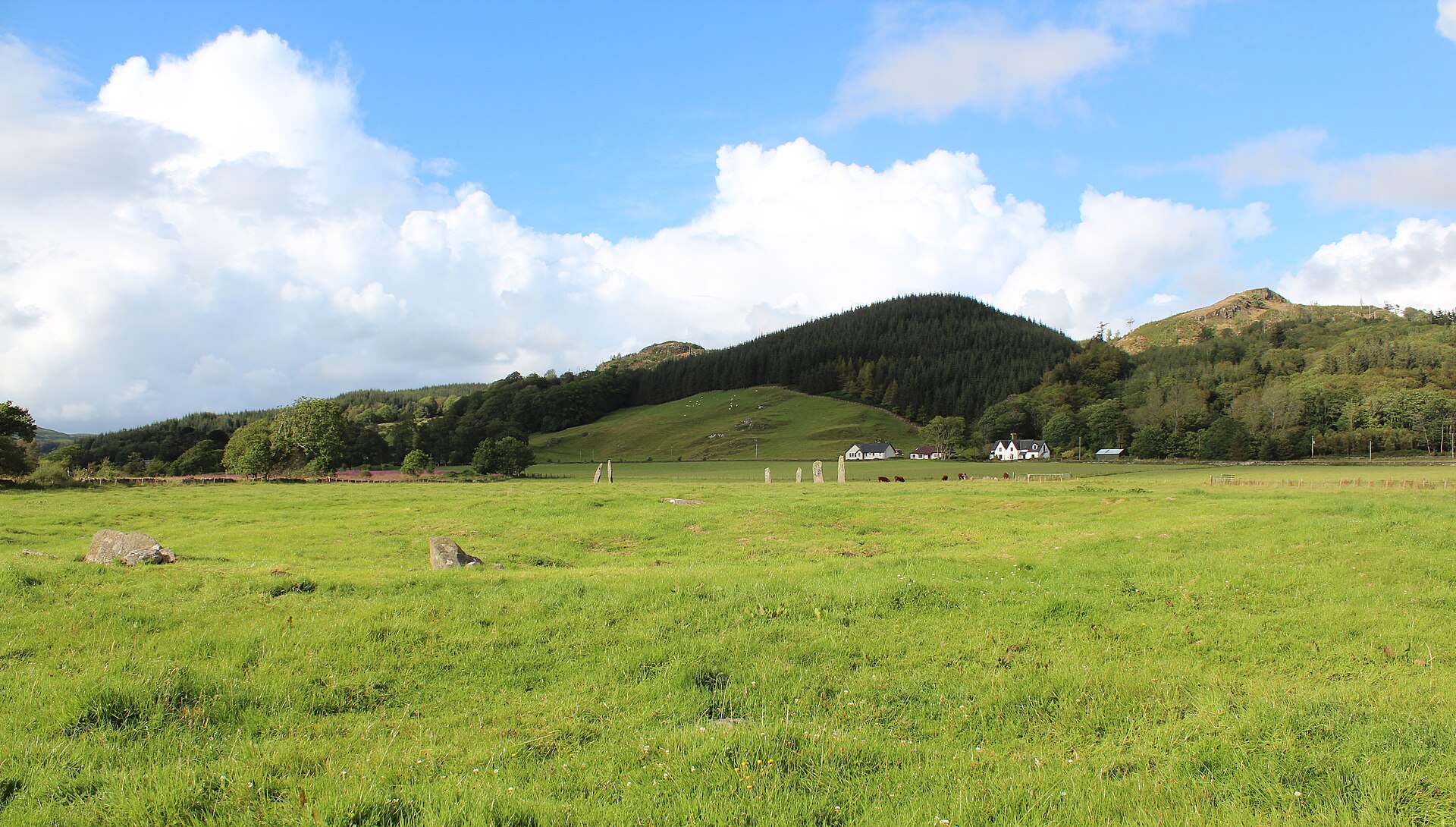 Ballymeanoch Standing Stones and Henge — image 5