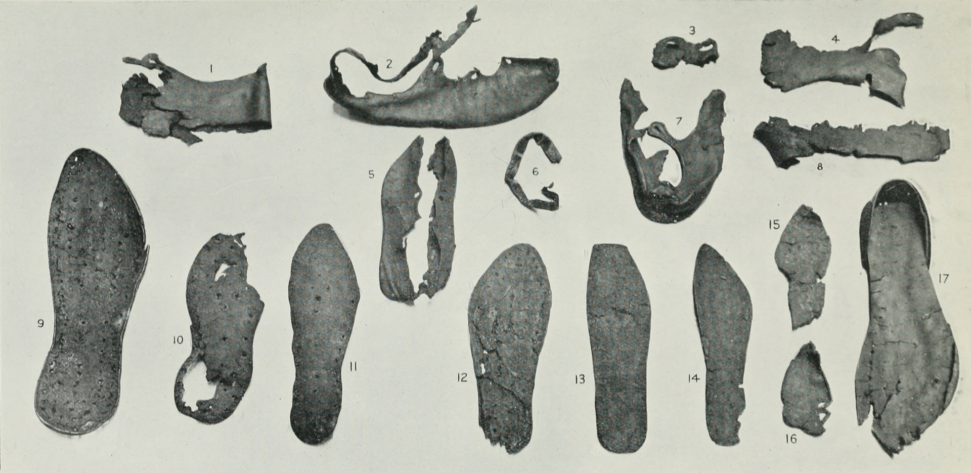 Balmuildy — image 4