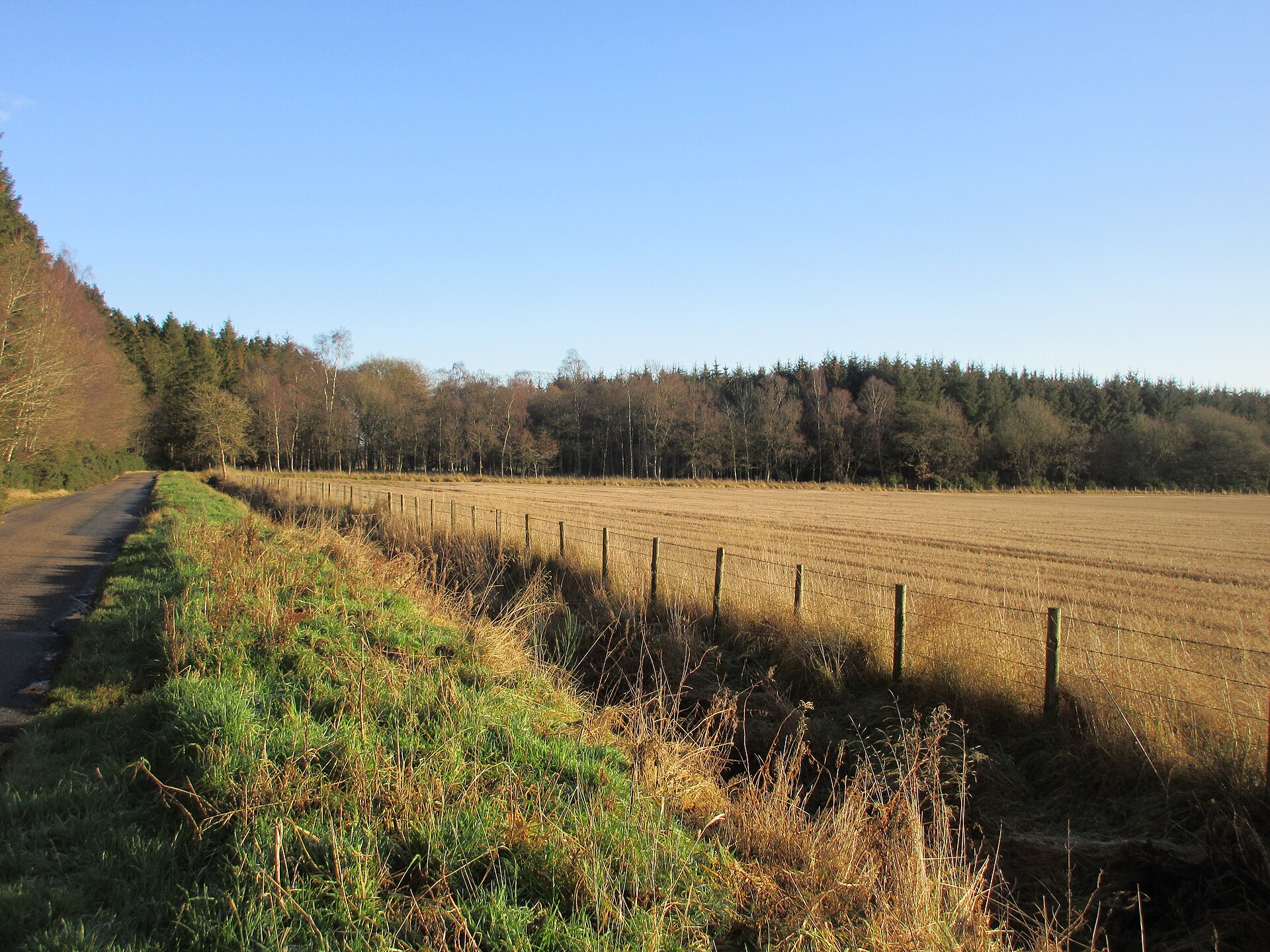 Battledykes — image 2