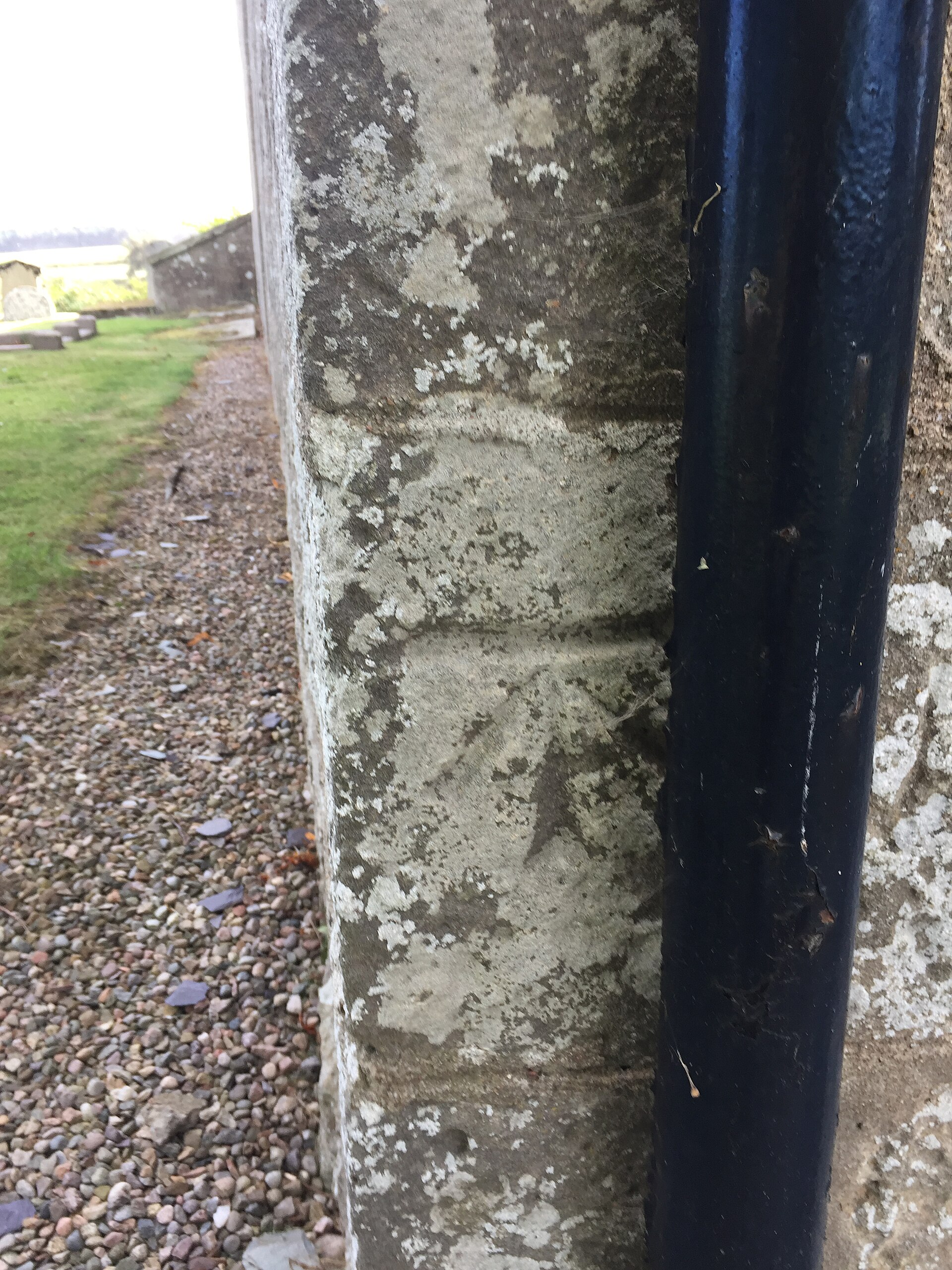 Birnie Symbol Stone — image 2