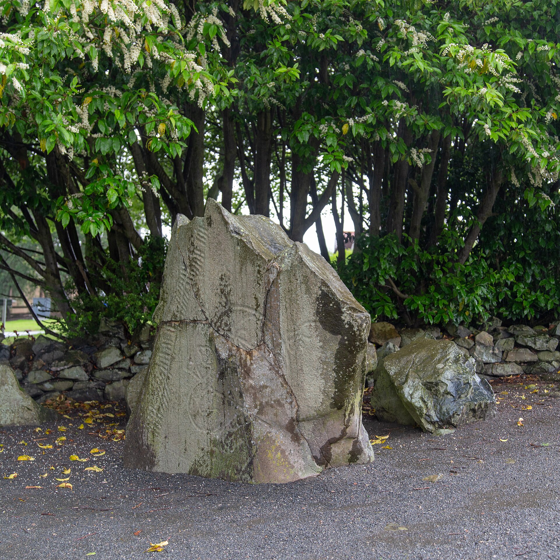 Brandsbutt Stone — image 5