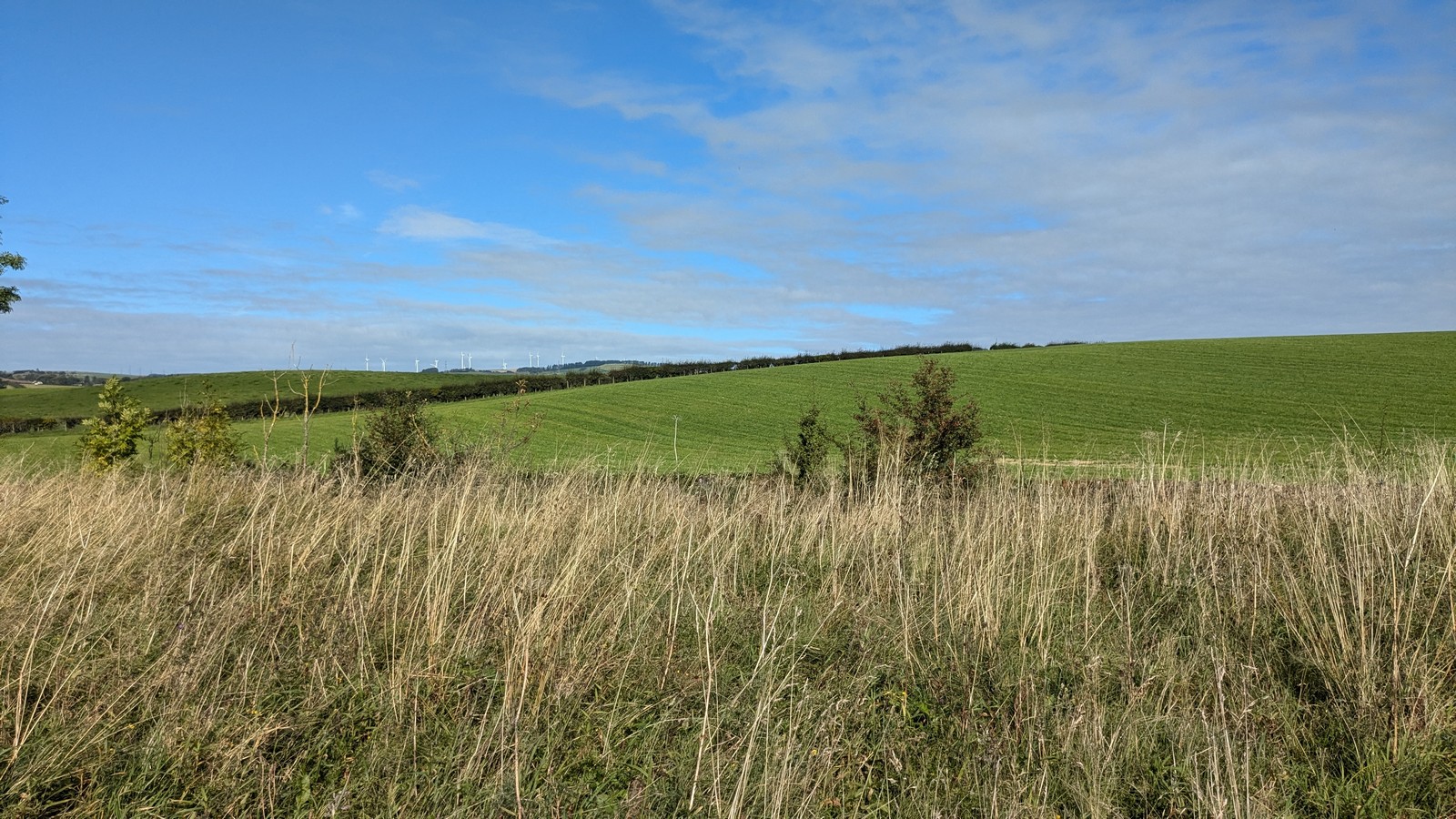 Broadlea henge — image 2