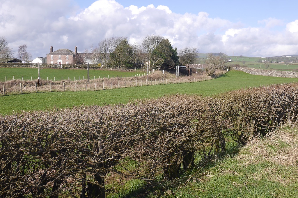 Broadlea henge — image 3