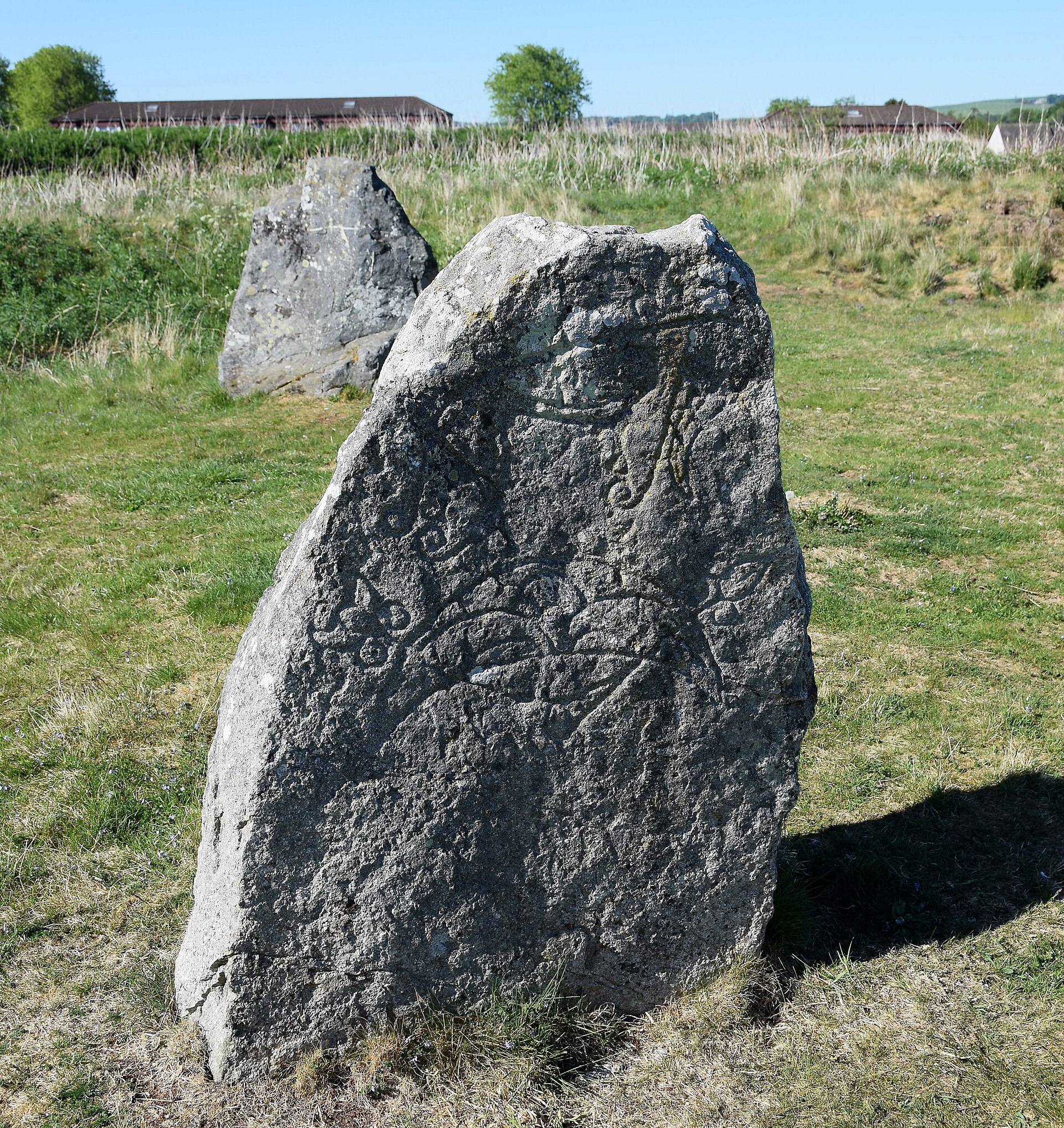 Broomend of Crichie stone — image 2