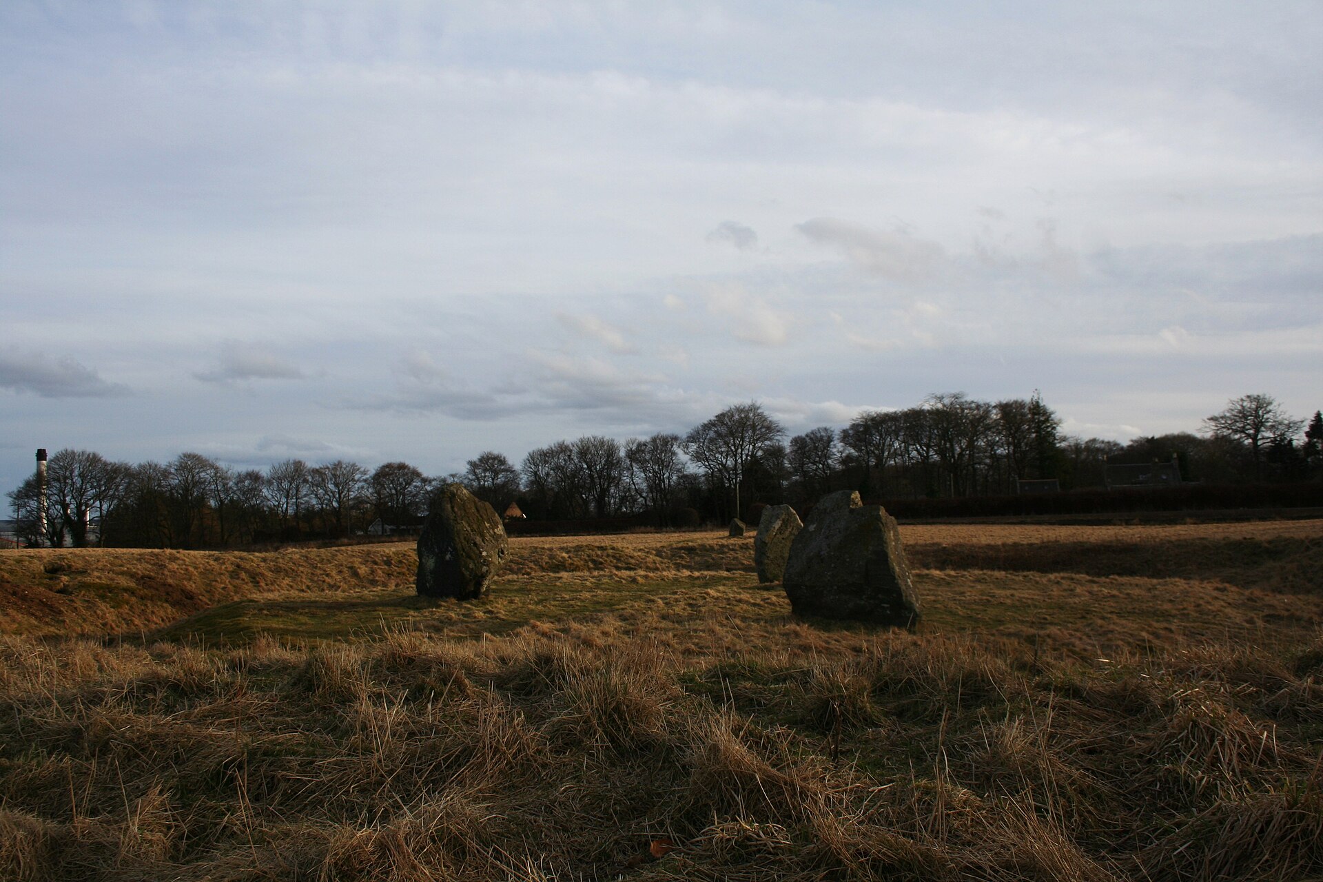 Broomend of Crichie stone — image 3
