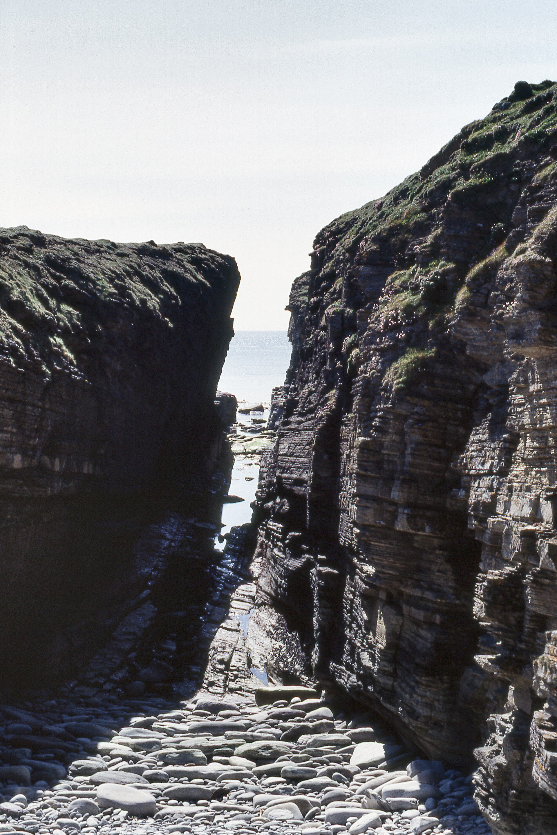 Brough of Birsay — image 3