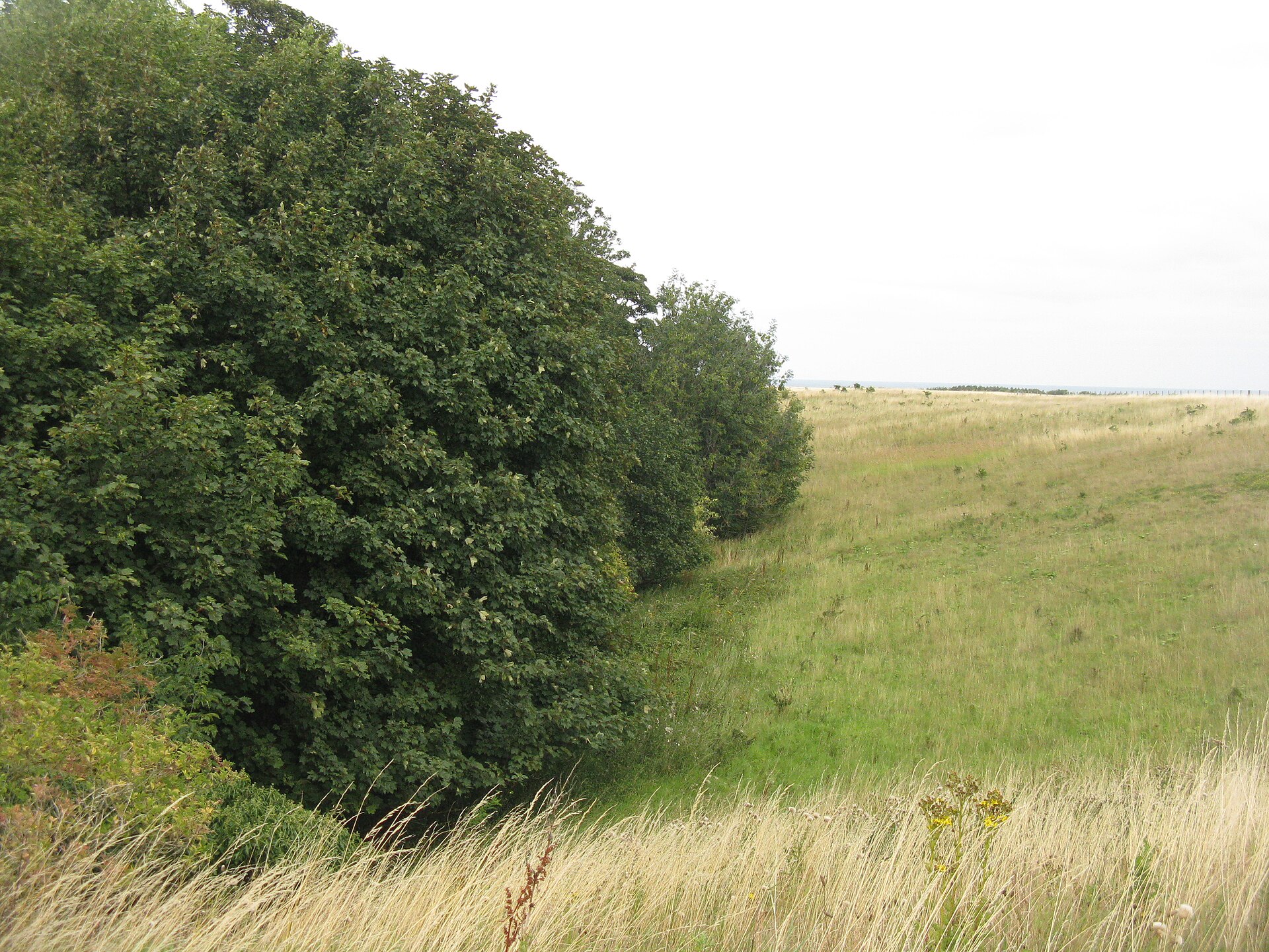 Broxmouth — image 3