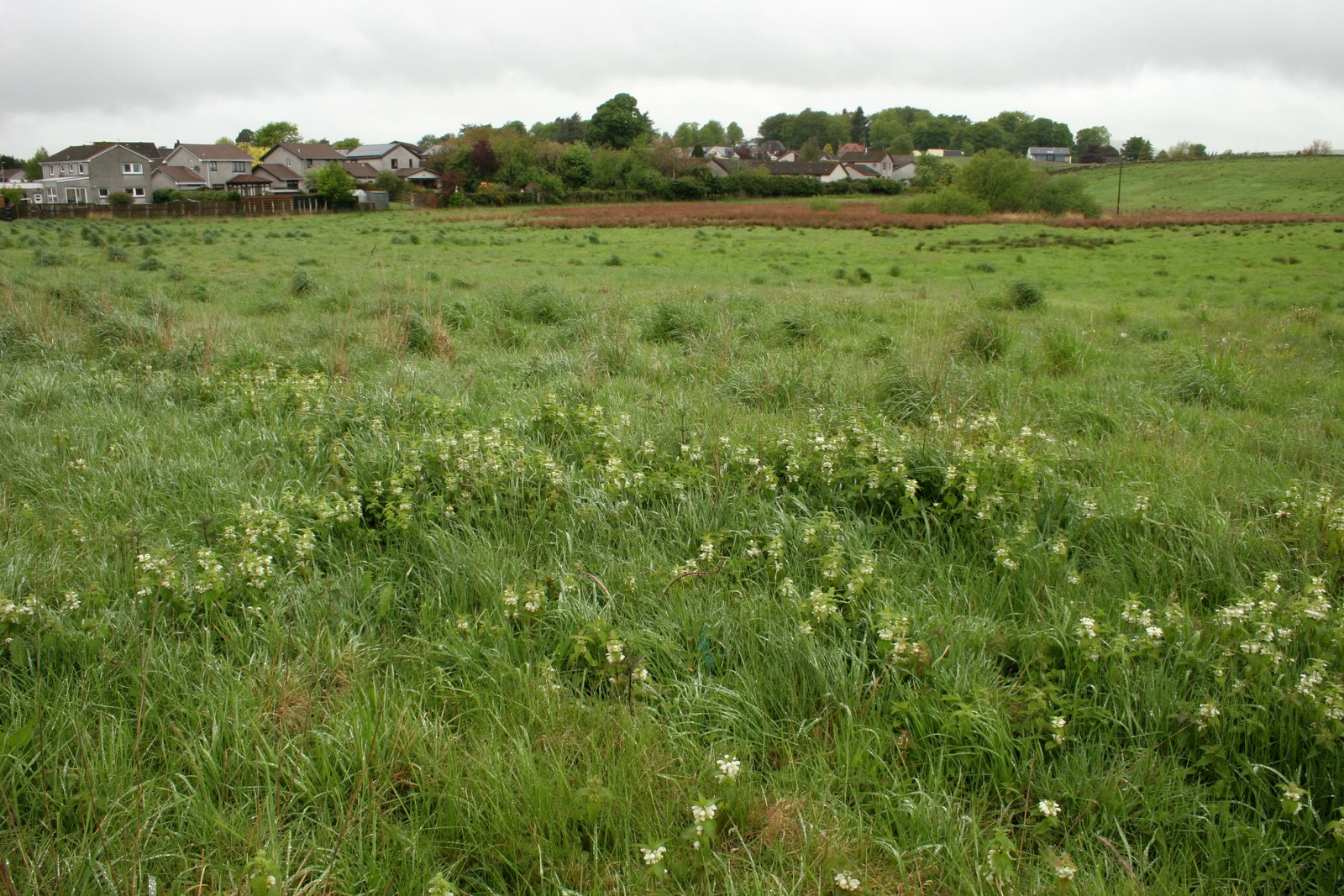 Burleigh Castle — image 4