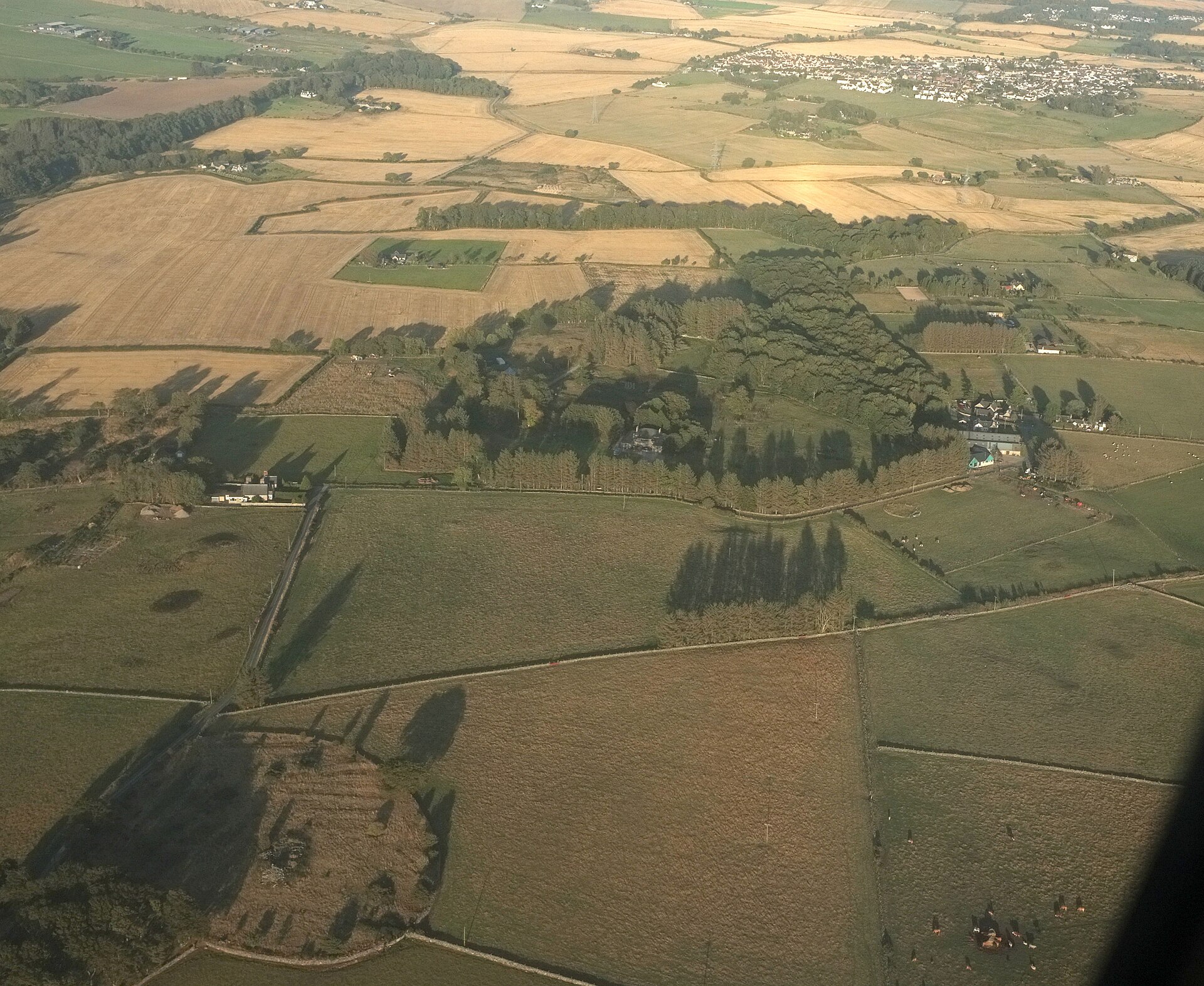 Cairnton stone — image 2
