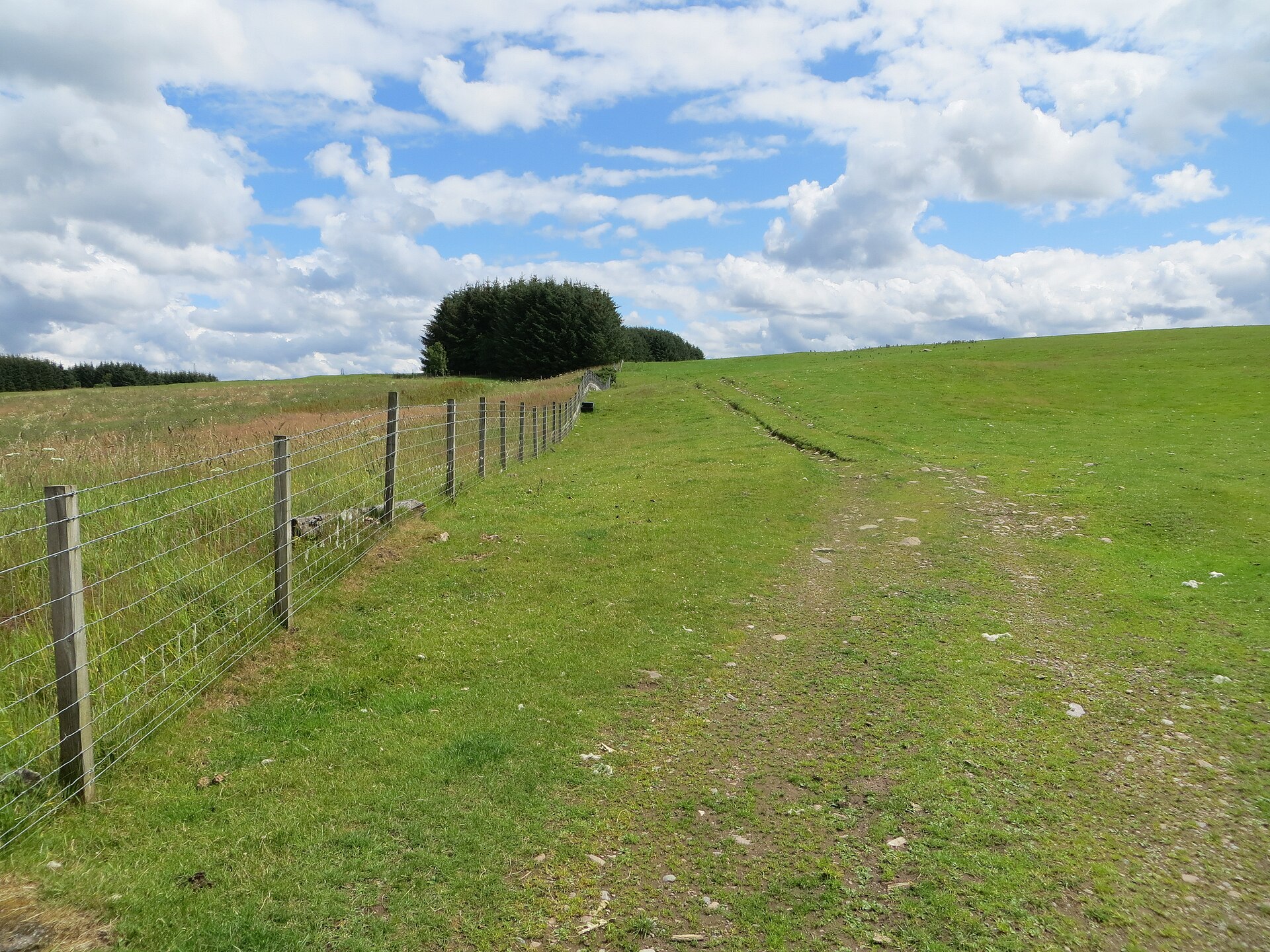 Carn Glas — image 3
