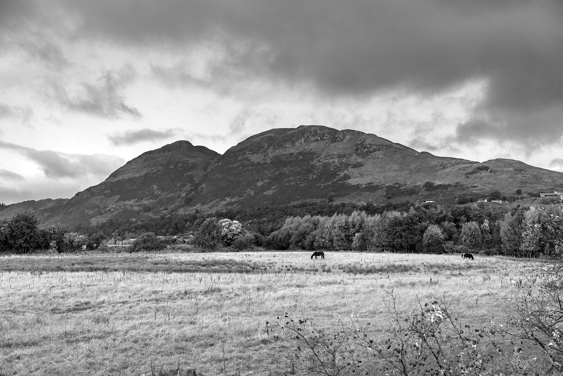 Castle Law, Dumyat — image 3