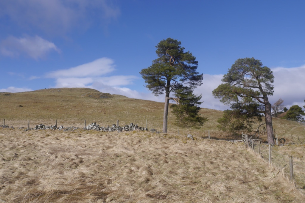 Castle Law, Forgandenny — image 3