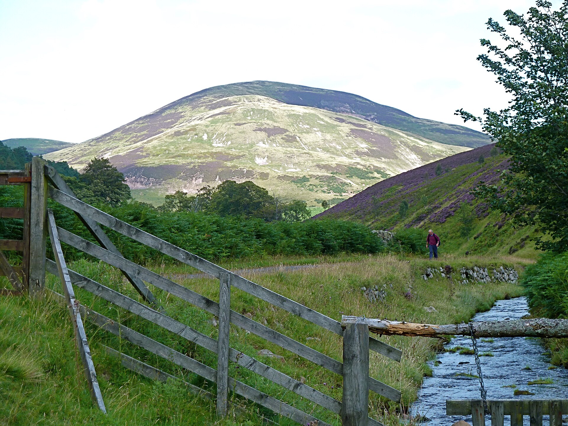 Castle Law — image 2