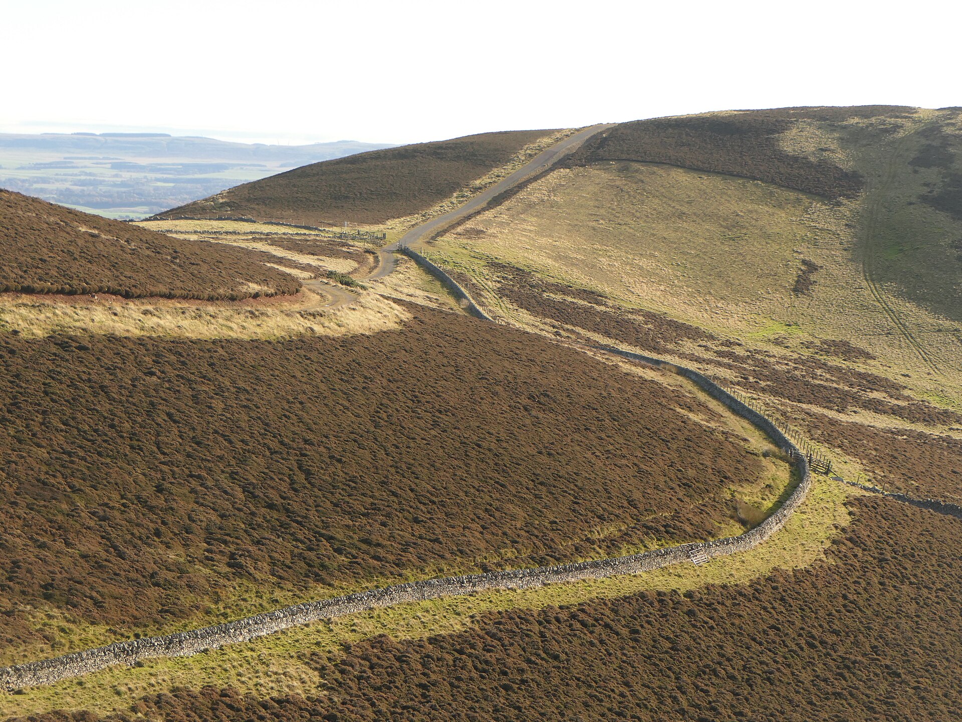Castle Law — image 3