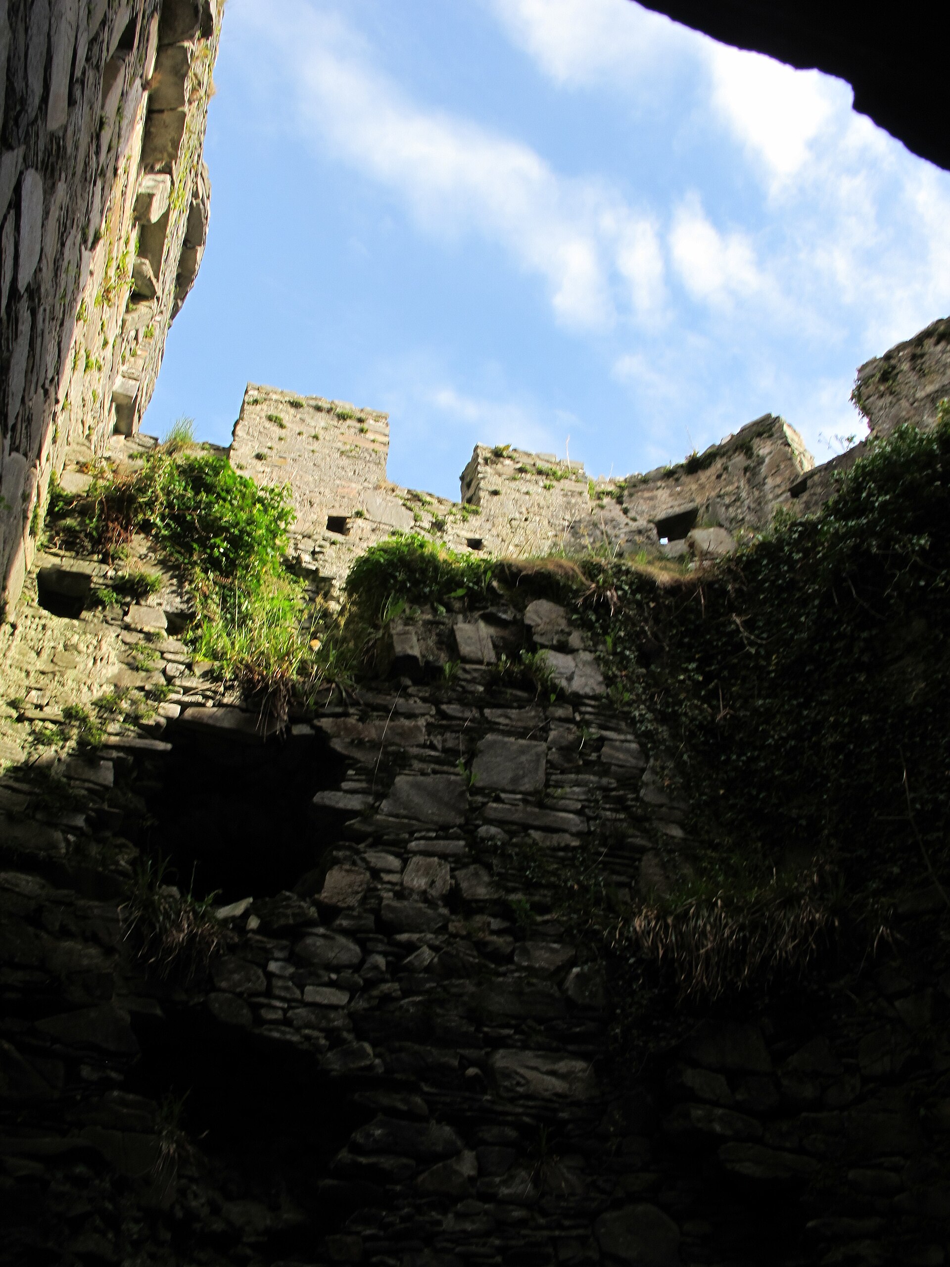 Castle Tioram — image 3