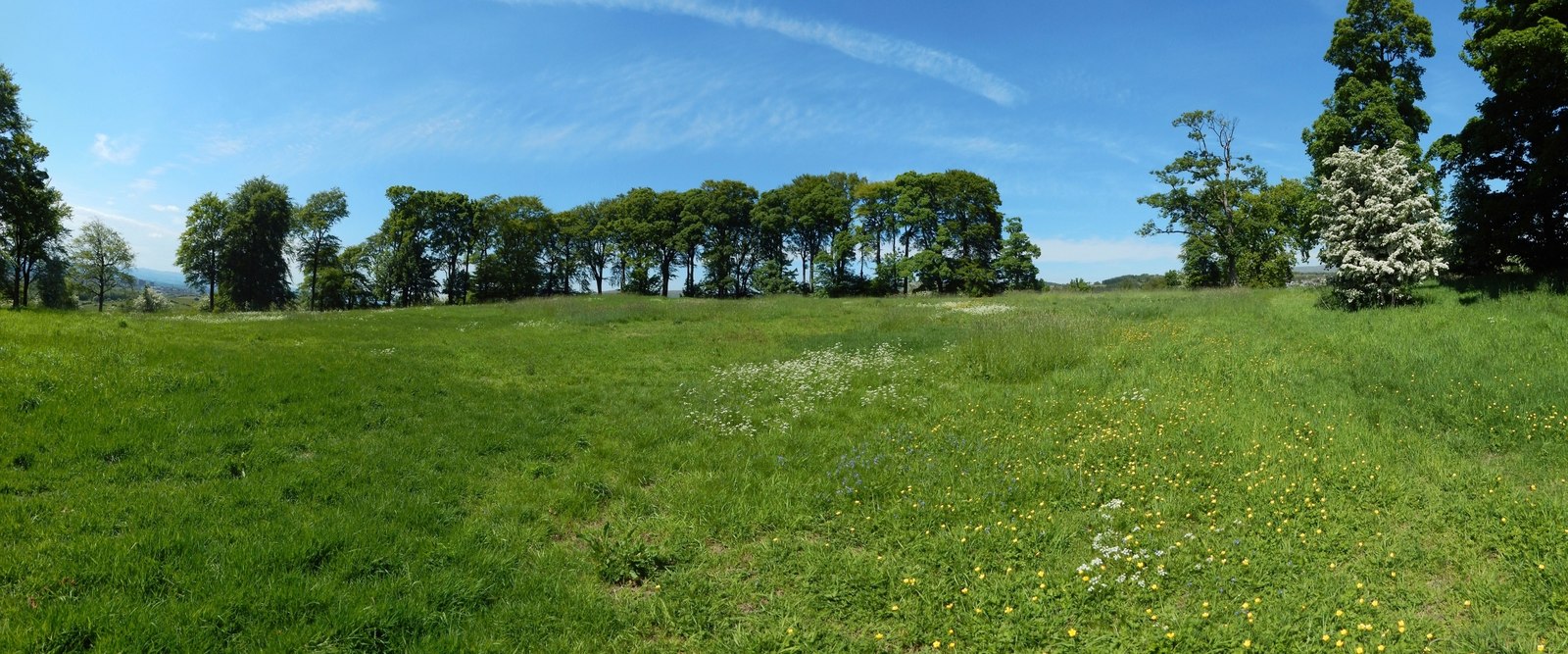 Castlehill Fort — image 2