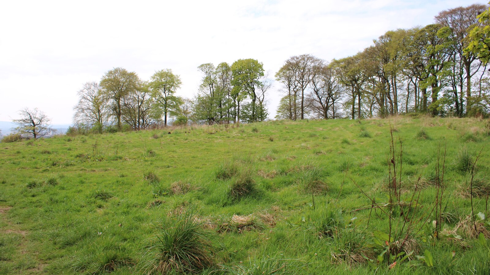 Castlehill Fort — image 3