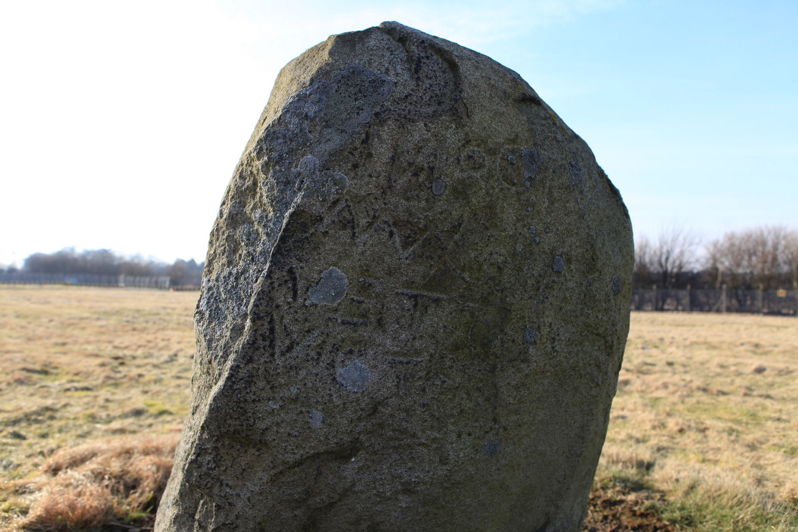 Cat Stane — image 2