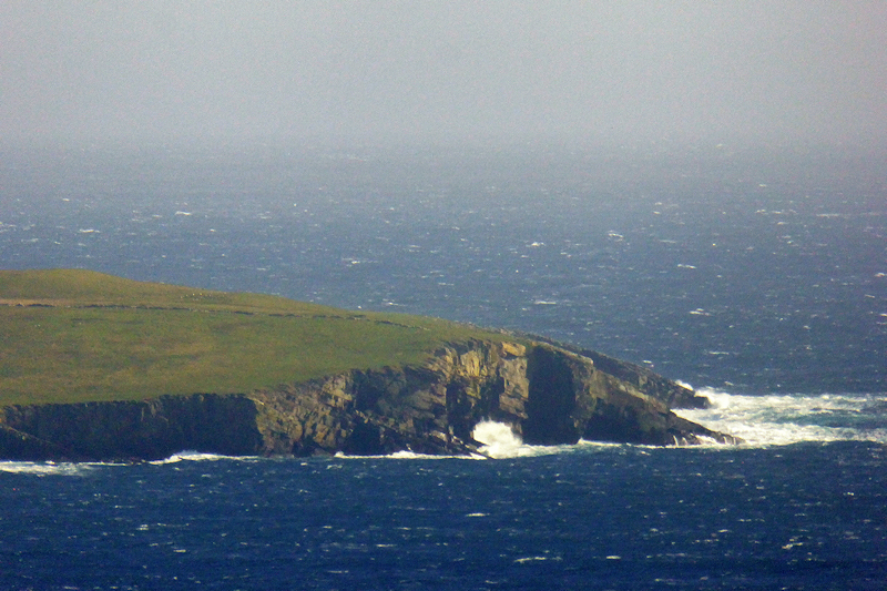 Catpund — image 3