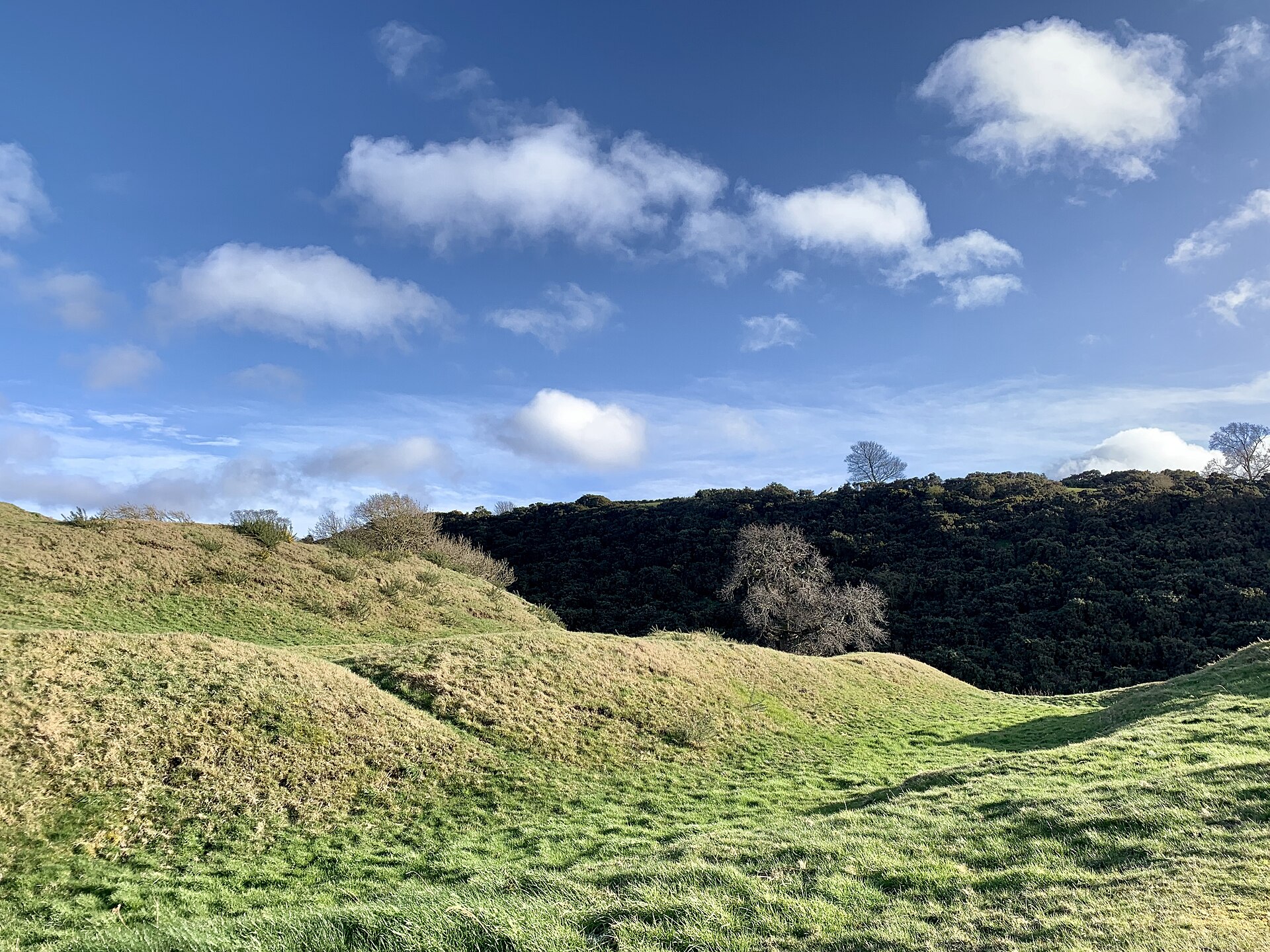 Chesters Hill Fort — image 4