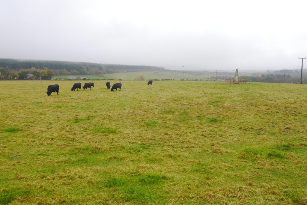 Clach Biorach — image 2