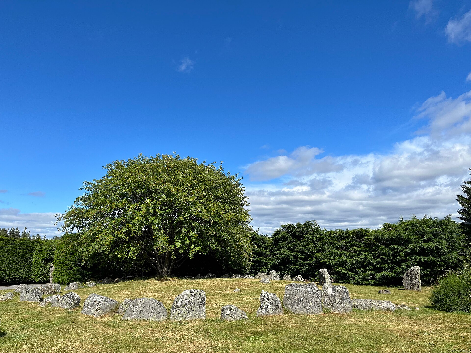 Near Clava cairns of Aviemore, about 15 metres away.