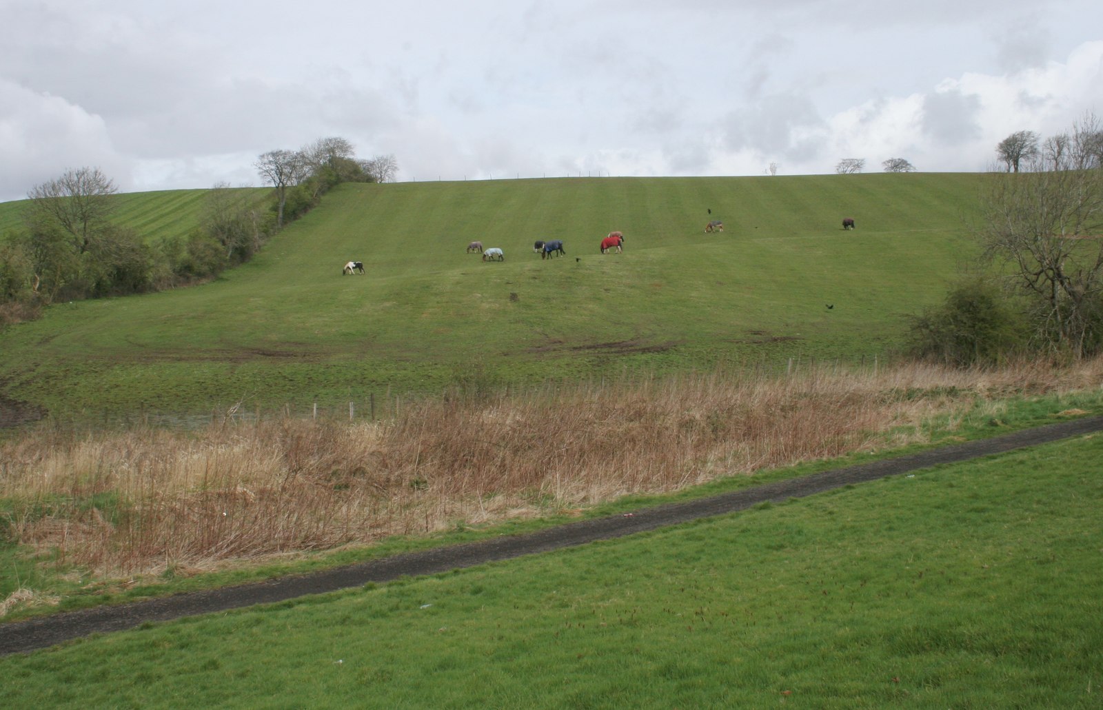 Cleddans — image 2