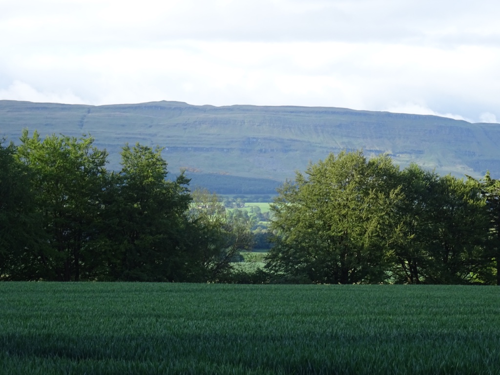 Coldoch Broch — image 2