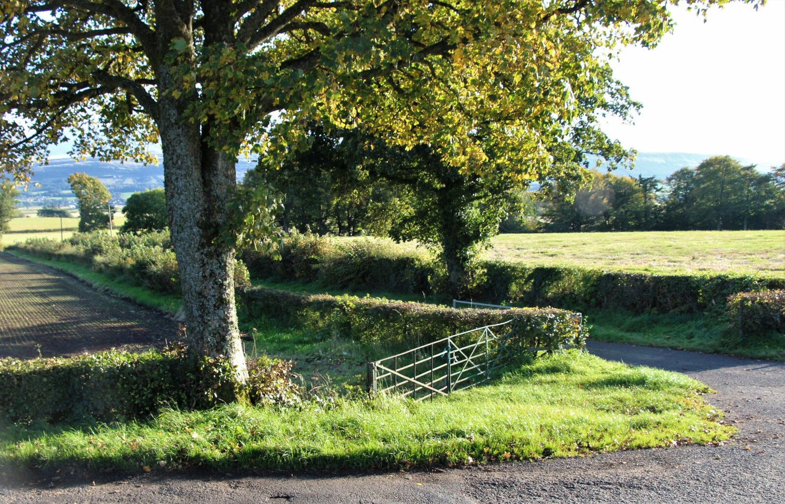 Coldoch Broch — image 3