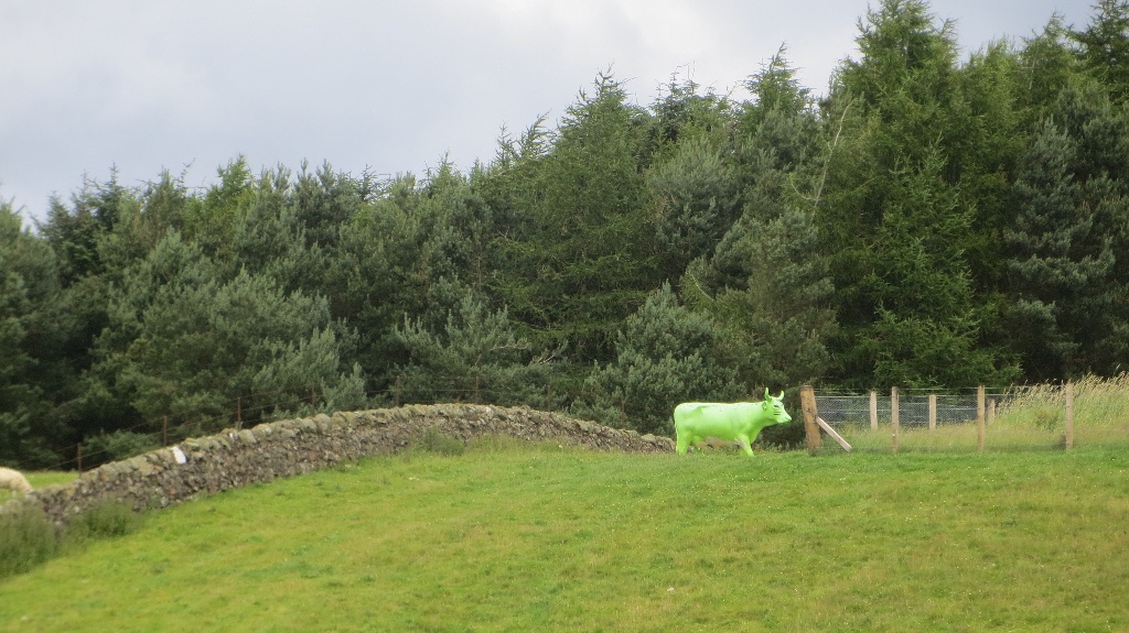 Colmeallie stone circle — image 2