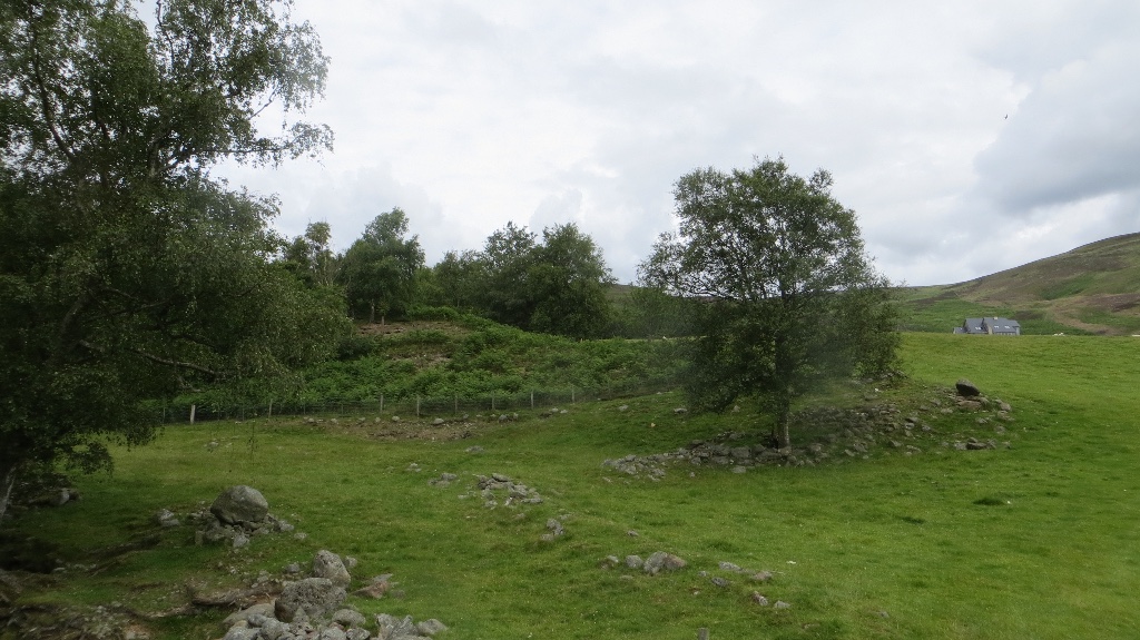Colmeallie stone circle — image 3