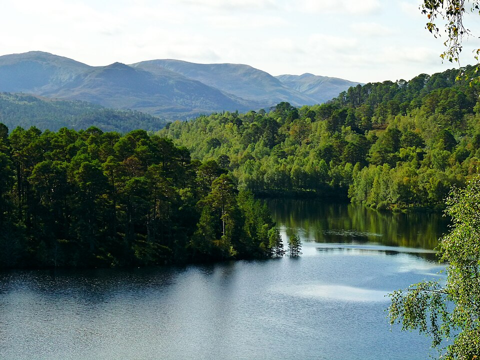 Forestry and Land Scotland