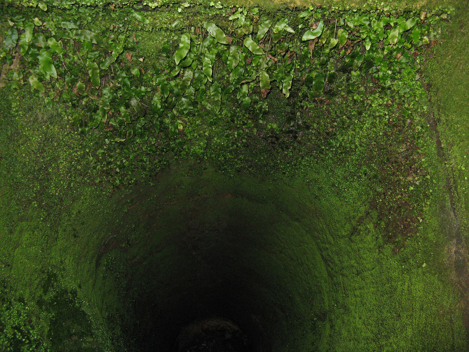 Crichton Castle — image 3