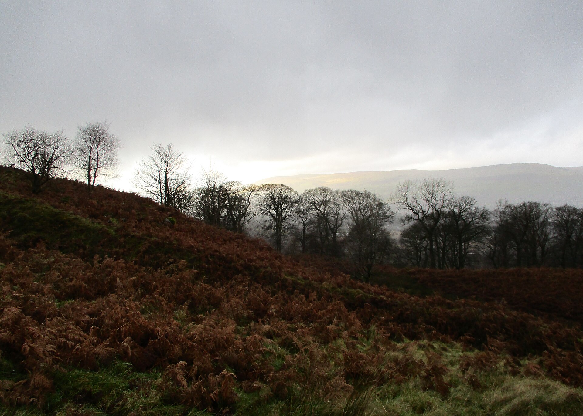 Croy Hill — image 4