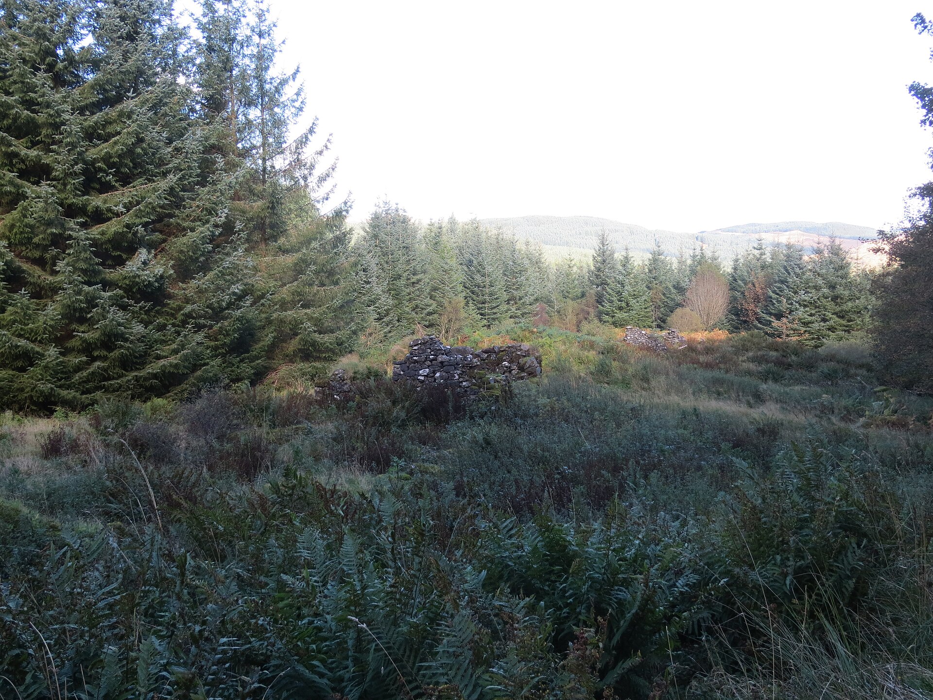 Dùn a' Choin Duibh — image 2