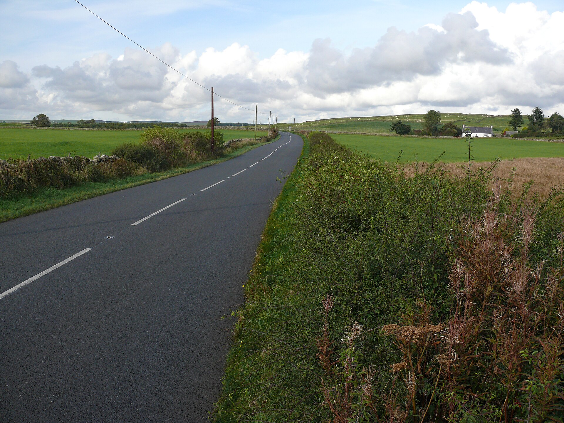Dorman's Island, Whitefield Loch — image 2