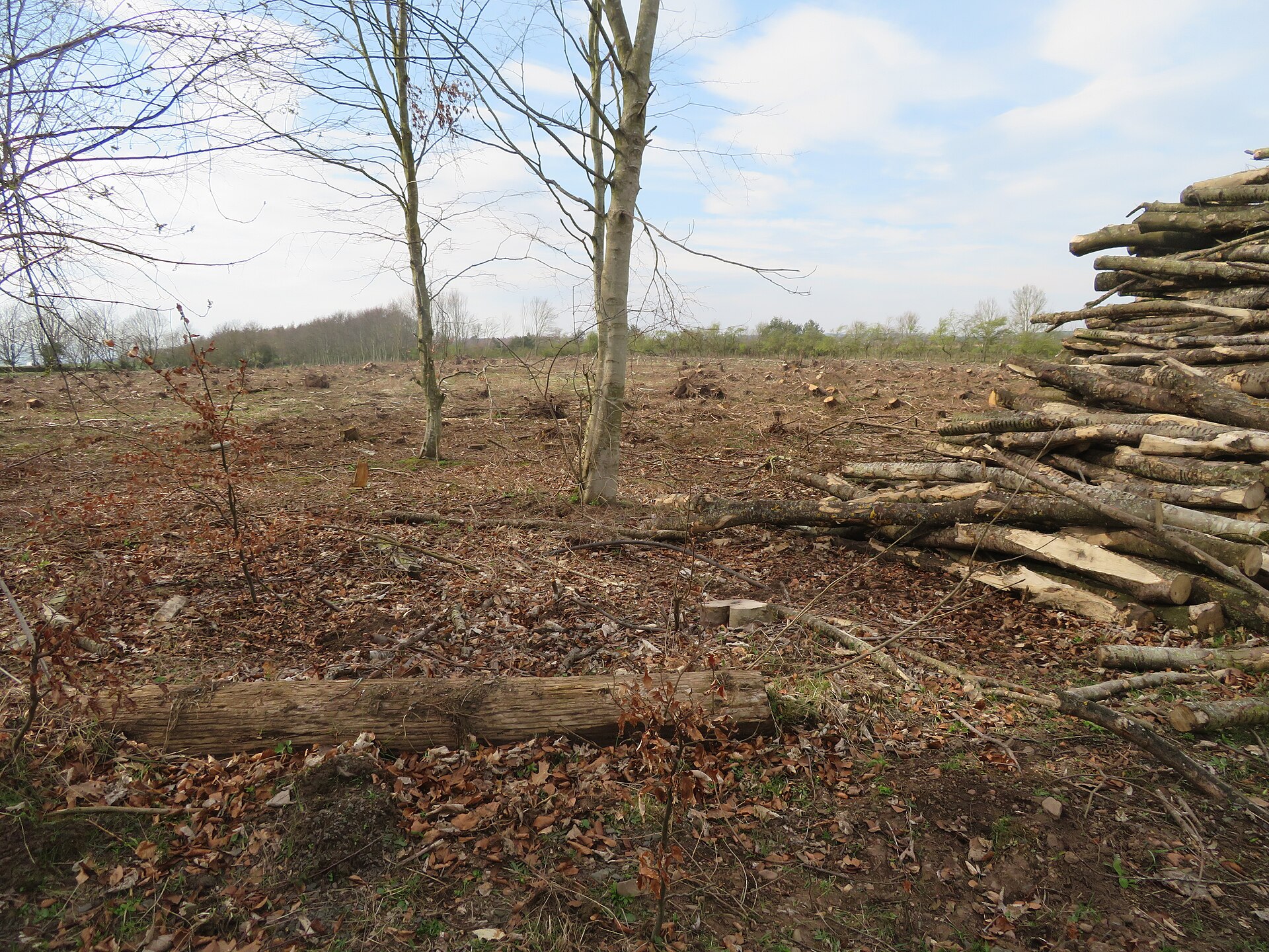 Dovecot, Ayton Castle — image 2