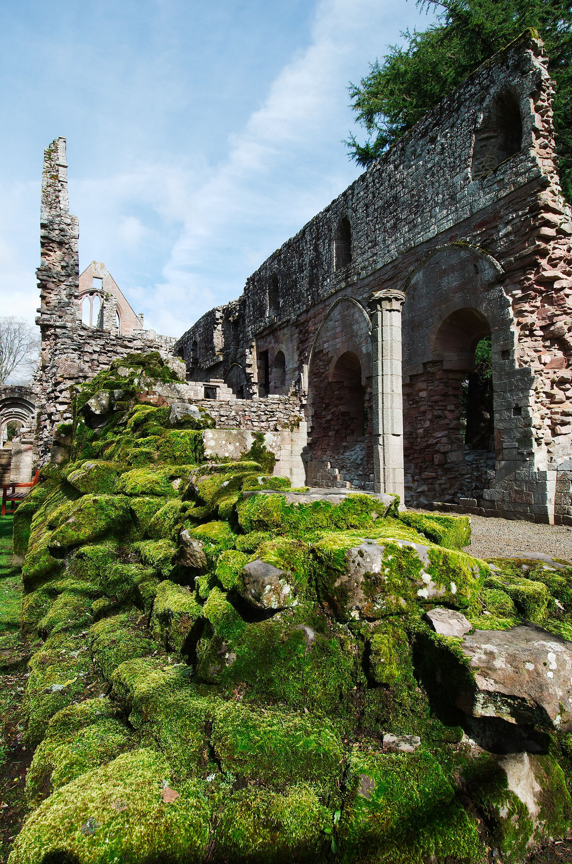 Dryburgh Abbey — image 3