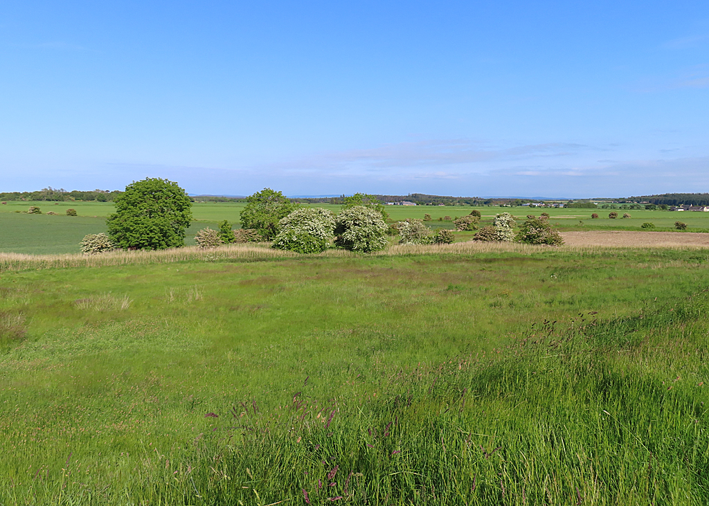 Duffus Castle — image 3