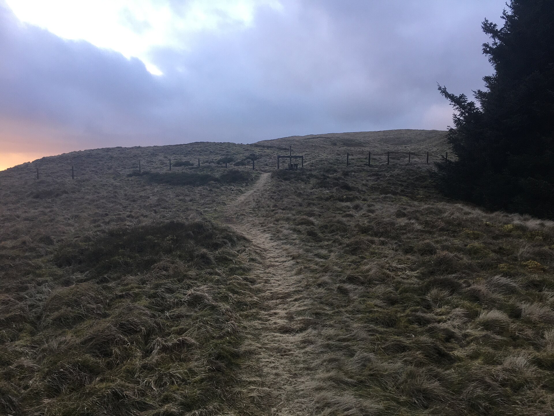 Dumglow — image 3