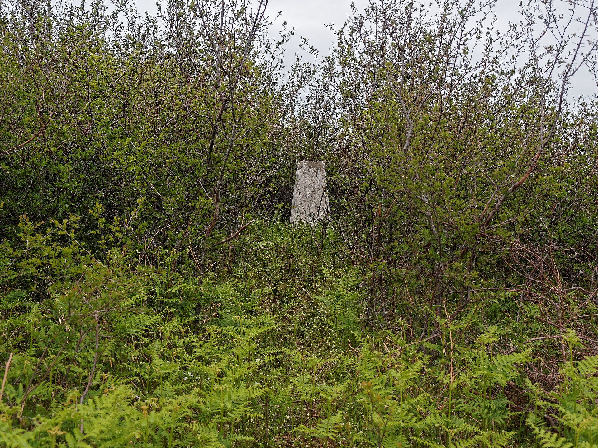 Dun Evan — image 2