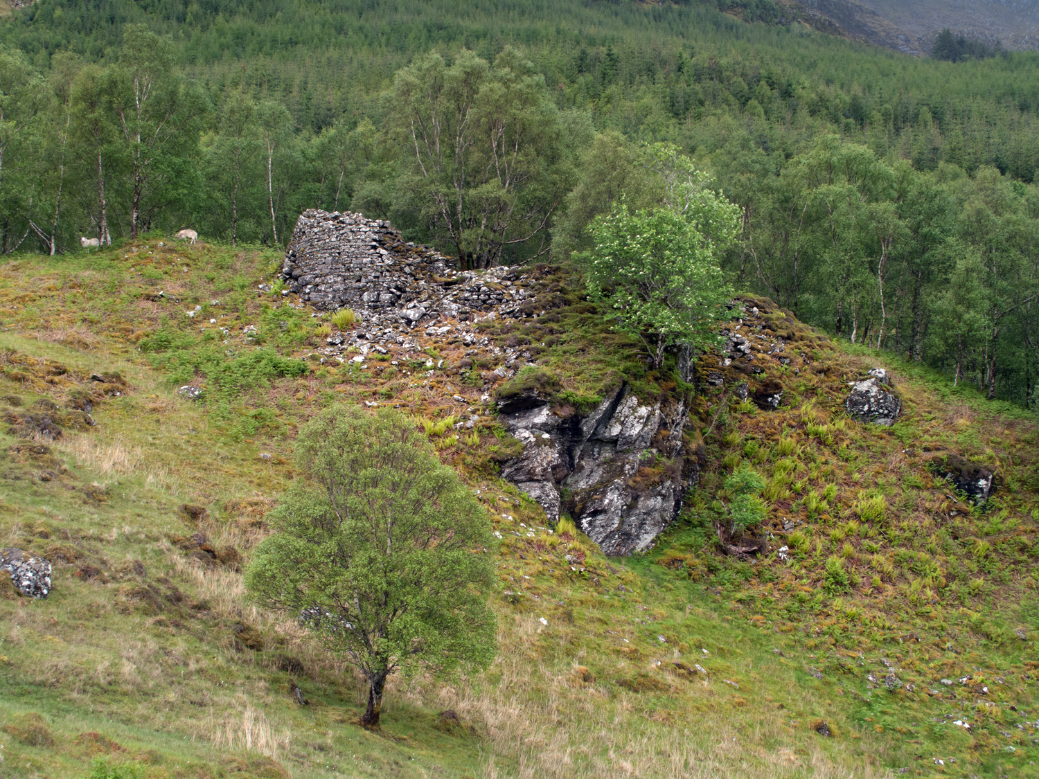 Dun Grugaig — image 3